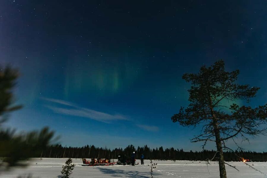 Rovaniemi: Northern Lights Family-Friendly Snowmobile Safari - Guides who shape the evening