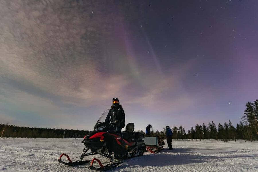 Rovaniemi: Northern Lights Family-Friendly Snowmobile Safari - Sharing a snowmobile, or paying to ride alone