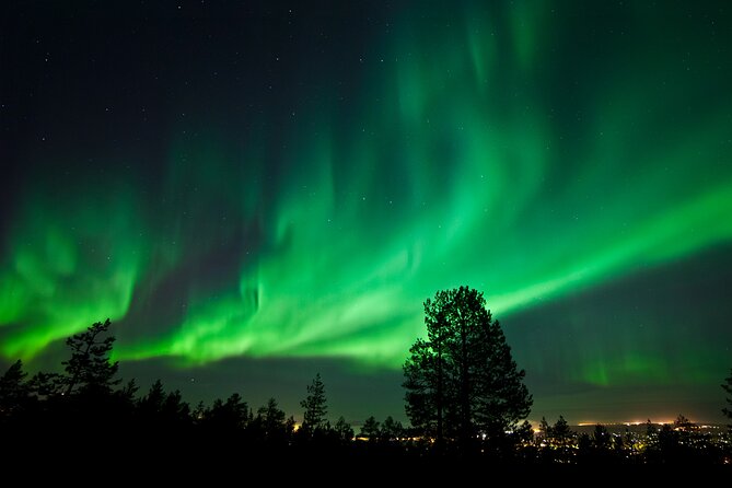 Rovaniemi: Northern Lights Group Tour - Guaranteed View - How strong are the guides?