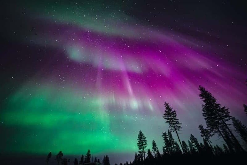 Rovaniemi: Northern Lights Group Tour with Guaranteed View - Key things to know before booking