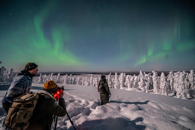 Rovaniemi Northern Lights Photography Small-Group Tour - Is $175.43 a fair price?