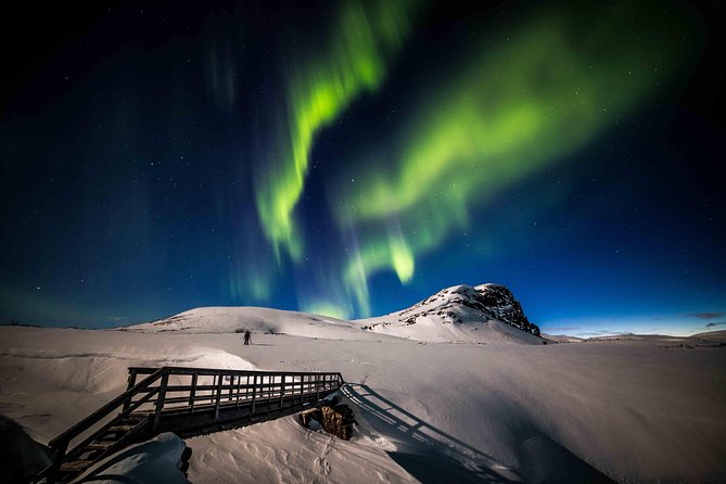 Rovaniemi Northern Lights Photography Small-Group Tour - Who should book this night in Lapland?