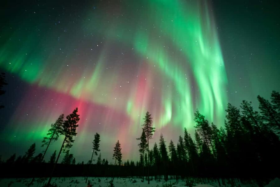 Rovaniemi: Northern Lights Photography Tour & BBQ - Who will get the most from this experience?