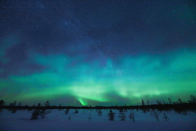 Rovaniemi: Northern Lights Pro Guaranteed - Unlimited Distance - Comfort, toilets, and the late return