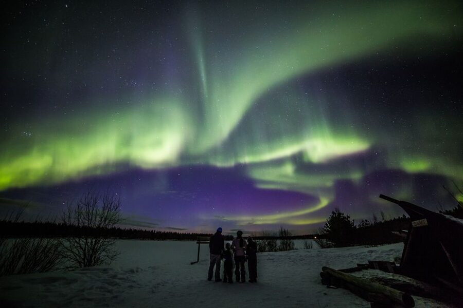 Rovaniemi: Northern Lights Sledge Ride - Two hours behind a snowmobile