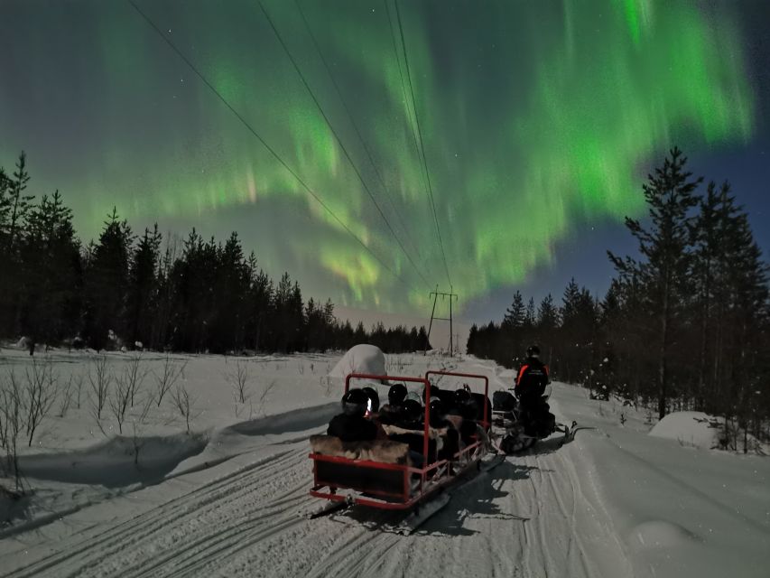 Rovaniemi: Northern Lights Sledge Ride - How much value do you get for $90?