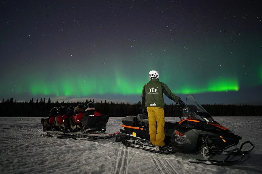 Rovaniemi: Northern Lights Sleigh Ride - Waiting for the Aurora