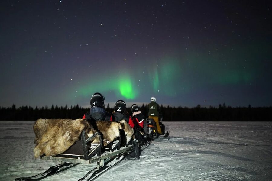 Rovaniemi: Northern Lights Sleigh Ride - Blueberry juice, gingerbread, and the campfire question