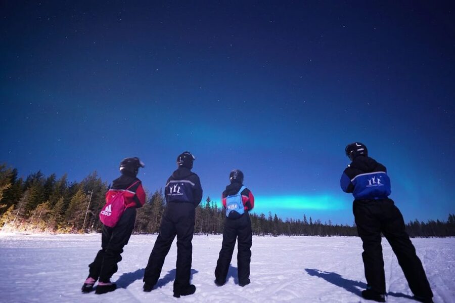 Rovaniemi: Northern Lights Sleigh Ride - Practical details before you reserve