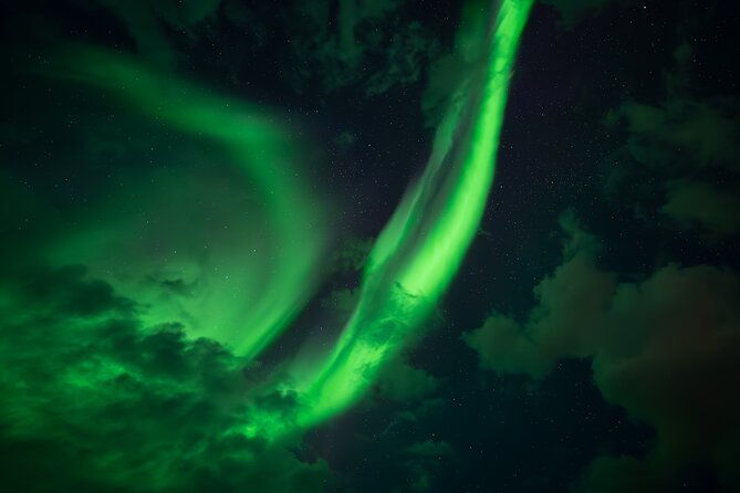 Rovaniemi: Northern Lights Small Group Money-Back Guarantee - What you eat during the night