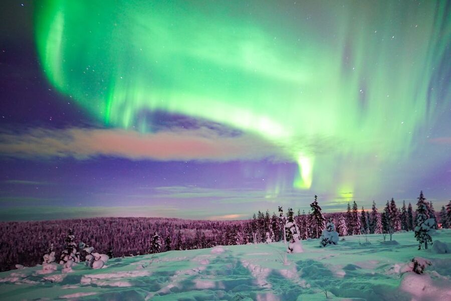 Rovaniemi: Northern Lights Snowmobile Tour - The Campfire Break in the Forest