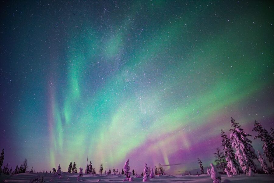 Rovaniemi: Northern Lights Snowmobile Tour - Stops for Frozen Scenery and Aurora Checks