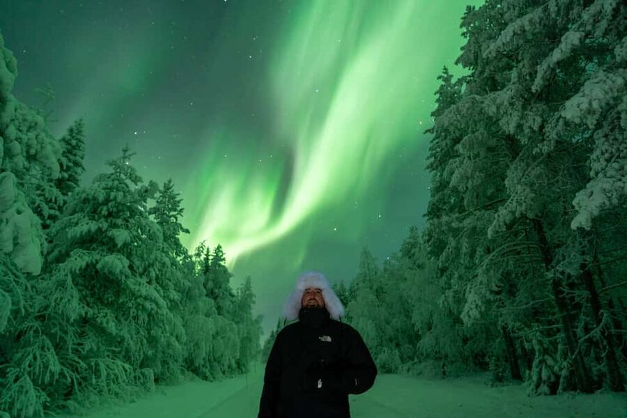 Rovaniemi: Northern Lights Tour - 100% Money Back Guarantee - What this northern lights chase is really about