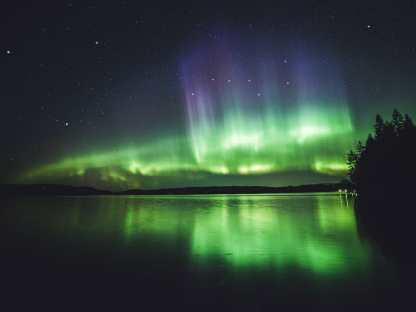 Rovaniemi: Northern Lights Tour with Guaranteed Sightings - Is $164 a fair price?