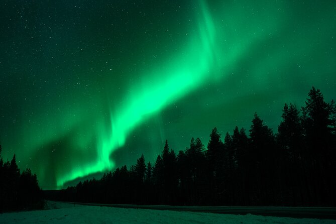 Rovaniemi: Private Aurora Tour with Guaranteed Sightings - Guide Tokkur and the value of persistence