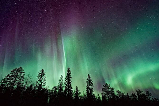 Rovaniemi: Private Aurora Tour with Guaranteed Sightings - A guarantee that still depends on weather