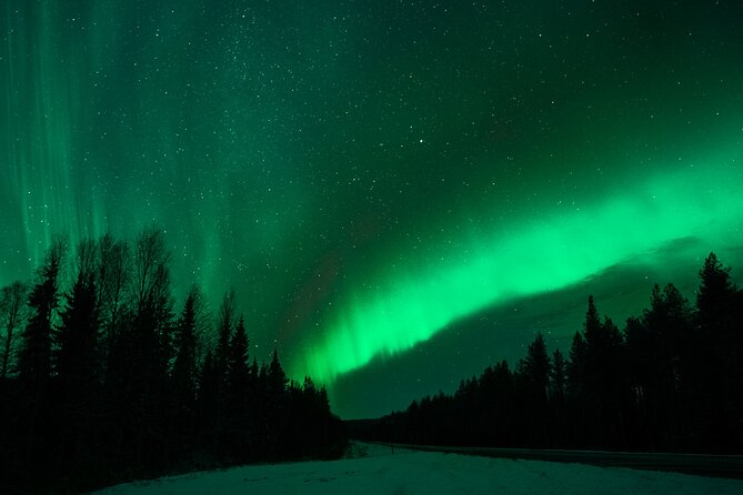Rovaniemi: Private Aurora Tour with Guaranteed Sightings - Price, group size, and who gets good value