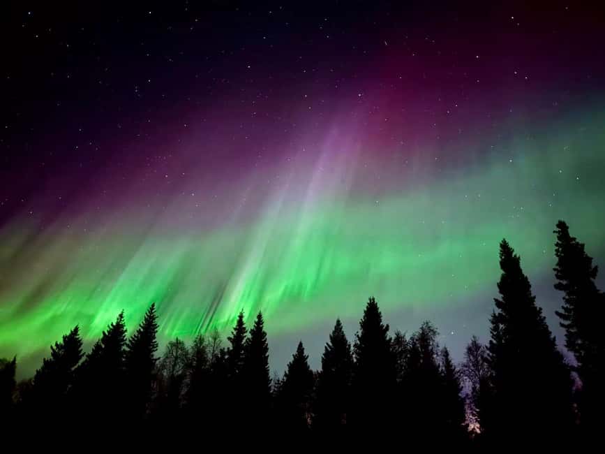 Rovaniemi: Santa's Reindeer and Husky Safari with Aurora BBQ - Two aurora stops give the evening a fair chance