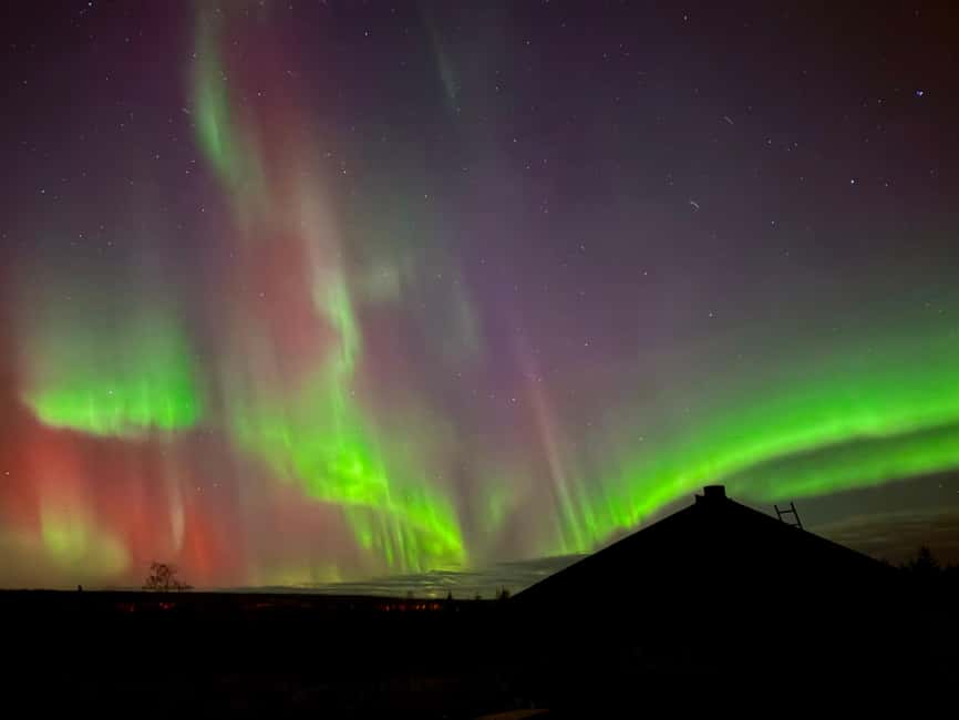 Rovaniemi: Santa's Reindeer and Husky Safari with Aurora BBQ - Who gets the most value from the $281 price