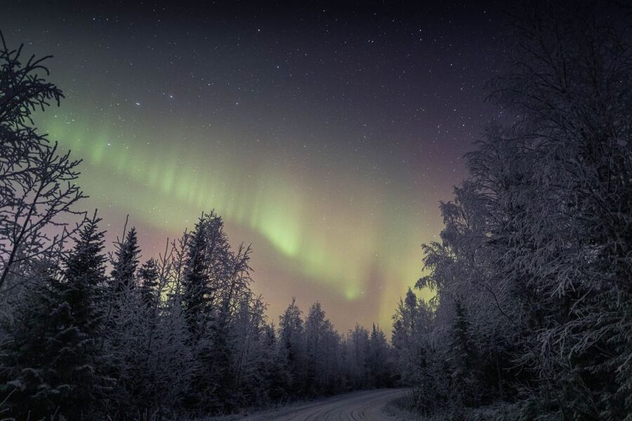 Rovaniemi: Sauna & Ice Swimming Tour with Dinner and Aurora - Dinner by the fire in a wooden cottage