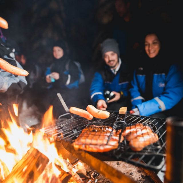 Rovaniemi: Search for Northern Lights Snowmobiling Trip - What the Rovaniemi night ride is really like