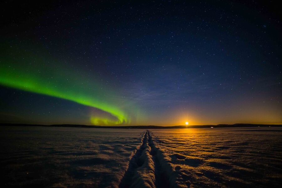Rovaniemi: Search for Northern Lights Snowmobiling Trip - Riding through the forest after dark