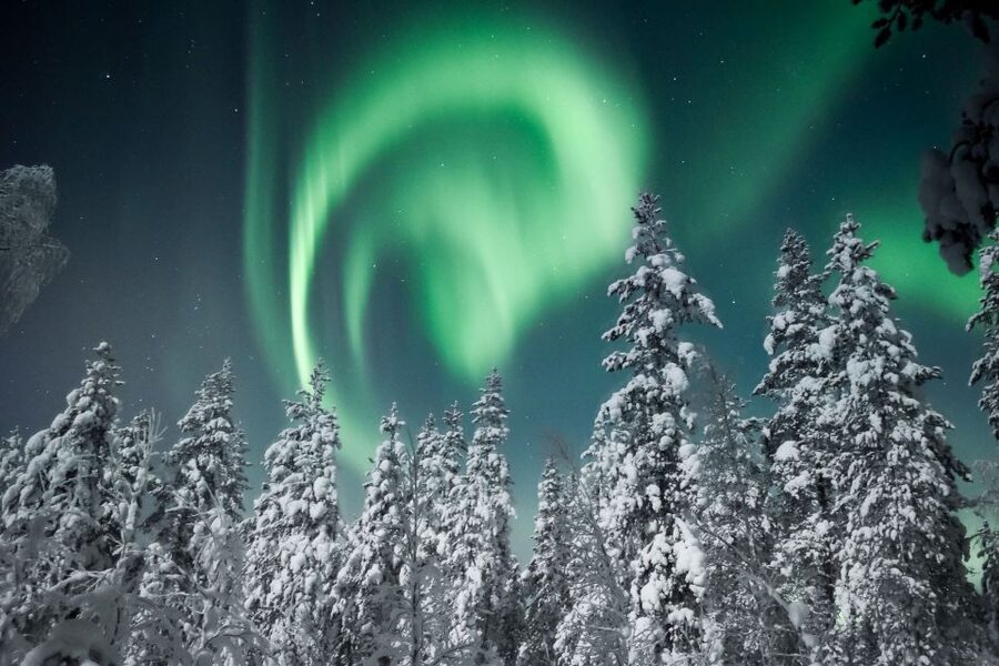 Rovaniemi: Search for Northern Lights Snowmobiling Trip - Who will enjoy this most