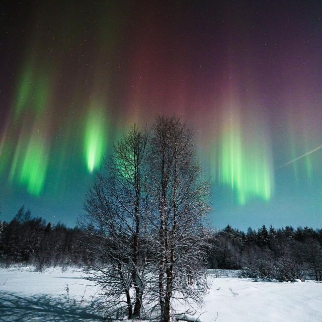 Rovaniemi: Small Group Aurora Hunt-full money back guarantee - Winter clothing and handling the cold
