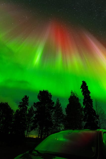 Rovaniemi: Small Group Northern Lights Guaranteed Sightings - Key points at a glance
