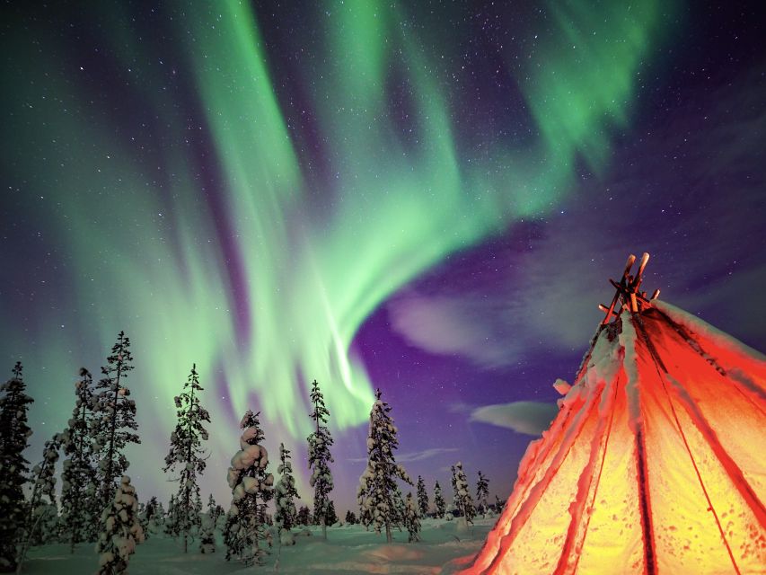 Rovaniemi: Small-Group Northern Lights Wilderness Tour - Guides who make the difference