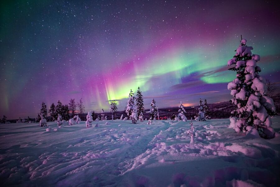 Rovaniemi: Small-Group Northern Lights Wilderness Tour - Staying warm during four hours outside