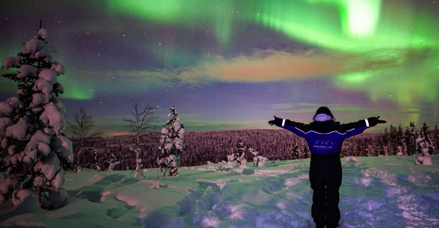 Rovaniemi: Small-Group Northern Lights Wilderness Tour - What the price includes at $136
