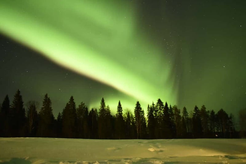 Rovaniemi: Snowtrain to Northern Lights Camp - A dark-forest ride from Apukka Resort