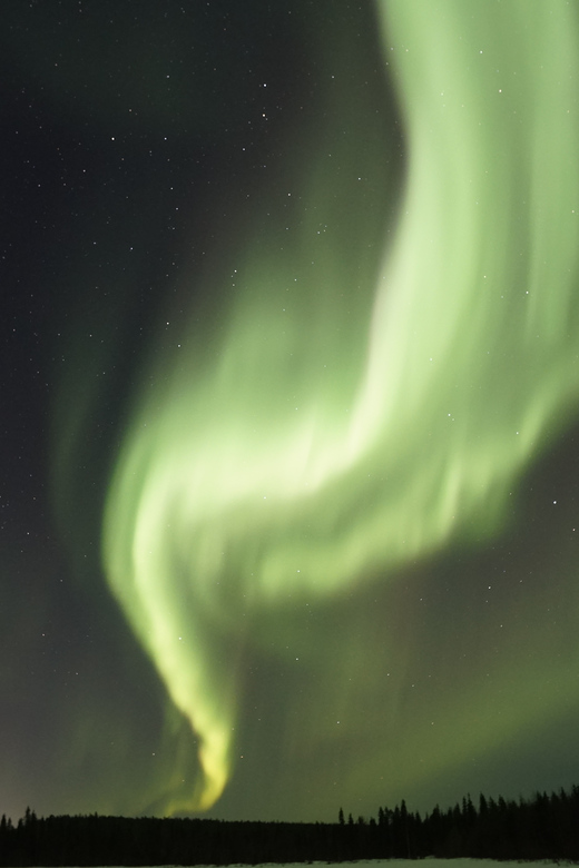 Saariselkä: Aurora Photo Tour by Car with Transfer & Drinks - Who should book this Saariselkä outing