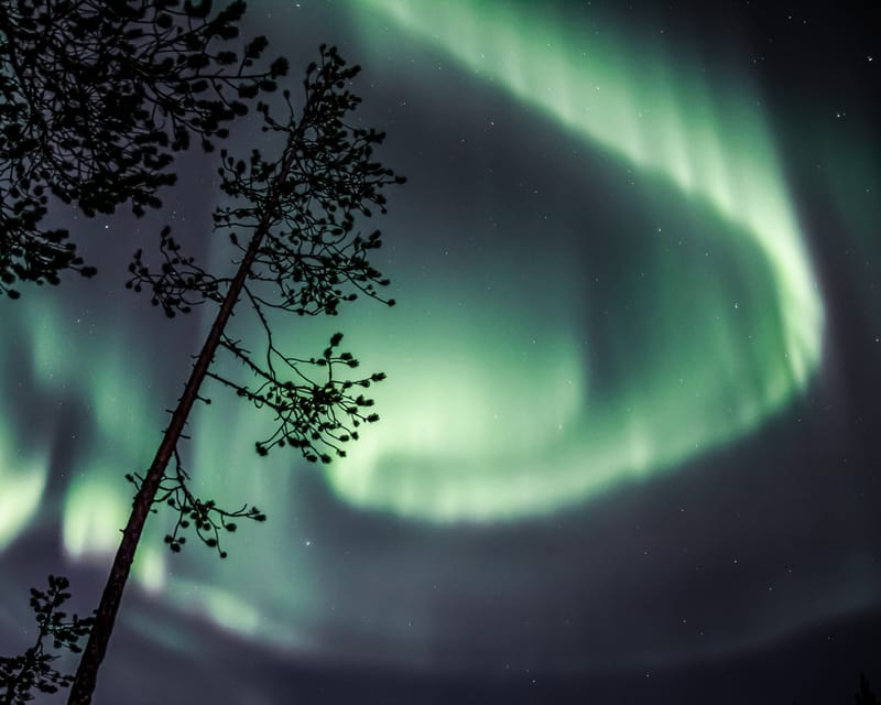 Saariselkä: Aurora Photo Tour by Car with Transfer & Drinks - Final call: book it for convenience, not certainty