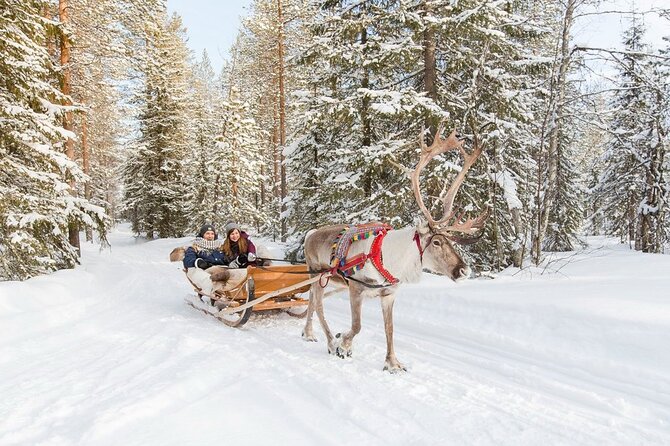 Santa's Reindeer & Husky Safari + Aurora BBQ in Rovaniemi - The afternoon gap needs a plan