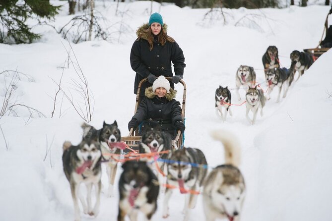 Santa's Reindeer & Husky Safari + Aurora BBQ in Rovaniemi - Guides make a real difference
