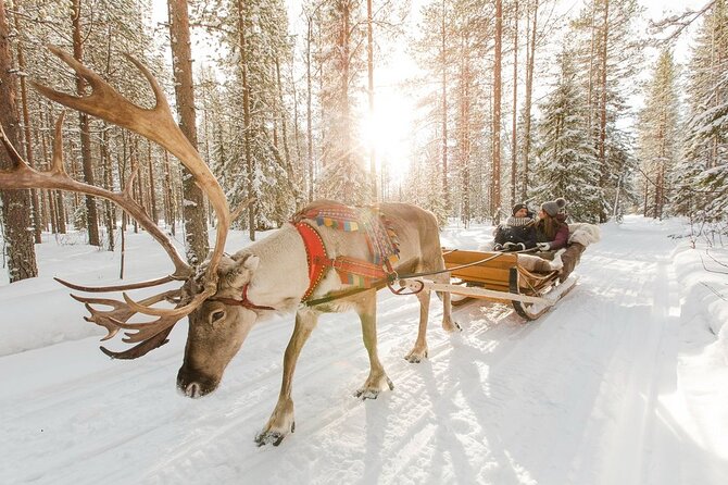 Santa's Reindeer & Husky Safari + Aurora BBQ in Rovaniemi - Is $289 a fair price?