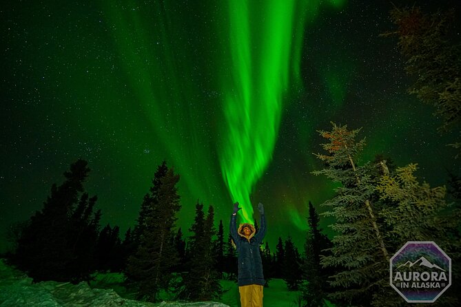 SkyChase™ | Northern Lights Experience - Free Photography & More - What the night feels like in real cold