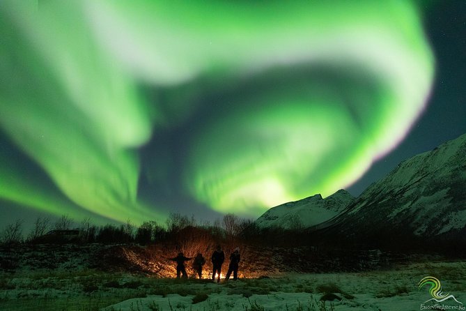 Small-Group Northern Lights Tour from Tromso with Photos - What the aurora chase feels like