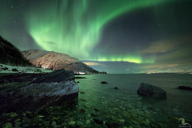 Small-Group Northern Lights Tour from Tromso with Photos - Alan, George, and the guide’s role