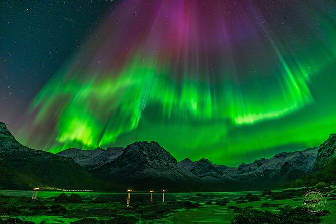 Small Group Van Journey in Search of the Northern Lights - Why this Northern Lights chase is different