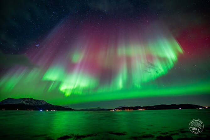 Small Group Van Journey in Search of the Northern Lights - Learning to photograph the aurora