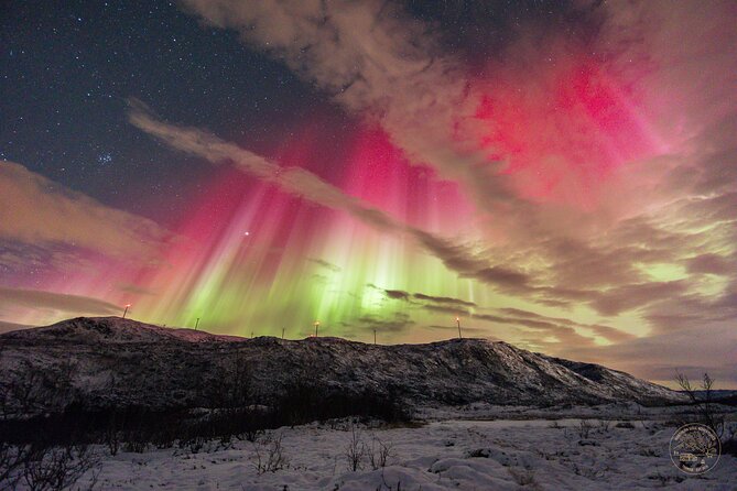 Small Group Van Journey in Search of the Northern Lights - Weather, cancellations, and practical limits