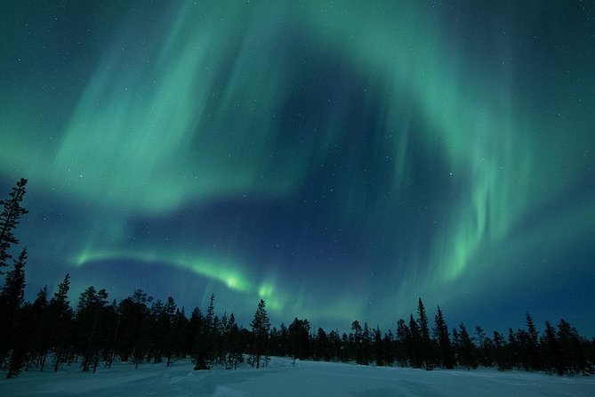 Snowmobile Aurora Expedition with dinner - Key details before you book
