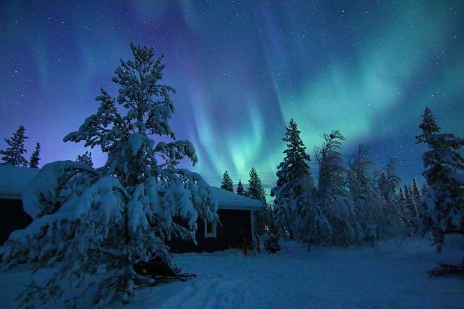 Snowmobile Aurora Expedition with dinner - Through the forest and over frozen water
