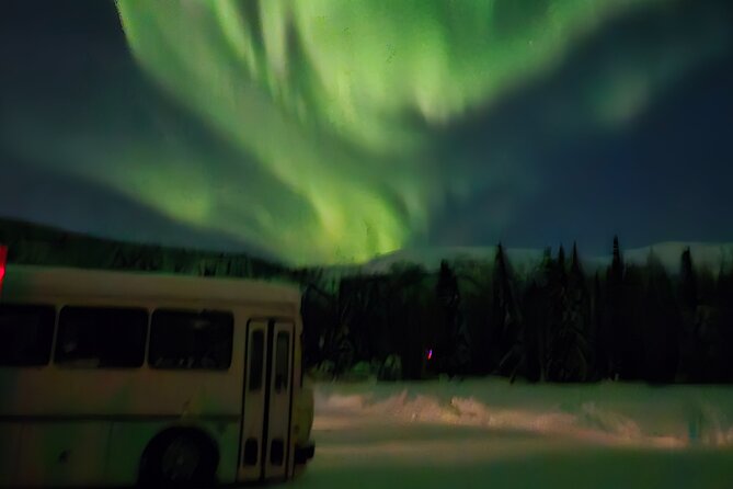 Spectacular Hot Spring Experience with Northern Lights - Who should book this outing