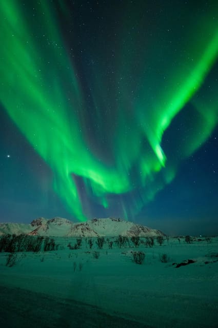 Svolvær: Ultimate Aurora Hunt - Hot drinks, cold air, and what to wear