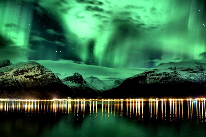 The Aurora Tour - small group, northern lights - Guides who can make the night work