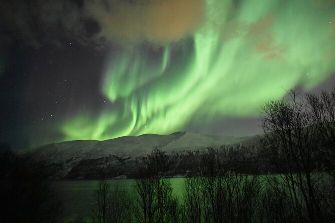 The Aurora Tour - small group, northern lights - Fire, food, and the waiting game
